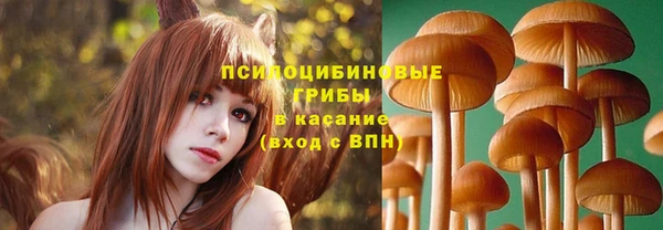 наркотики Гусь-Хрустальный