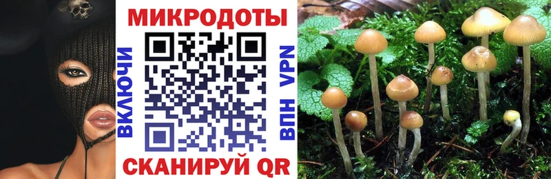 Купить закладки  Ирбит  Галлюциногенные грибы Cubensis 
